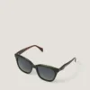 Acetate Tort Wayfarer Sunglasses