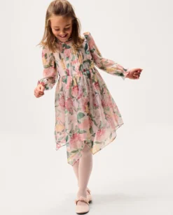 Agnes Long Sleeve Floral Chiffon Dress Multi