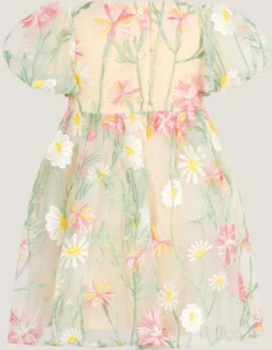 Baby Celina Daisy Embroidered Party Dress White