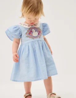 Baby Swan Embroidered Dress & Knickers Set Blue