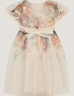 Baby Vintage Flower Tulle Party Dress Multi