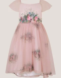 Charlotte Short Sleeve Floral Tulle Dress Pink
