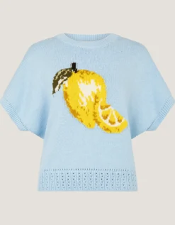 Lizzie Lemon Short Sleeve Jumper Blue