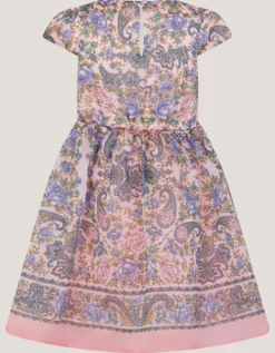 Poppy Floral Paisley Print Dress Pink