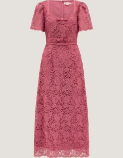Regina Short Sleeve Lace Midi Dress Pink